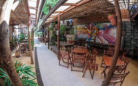 Biergarten Hostel